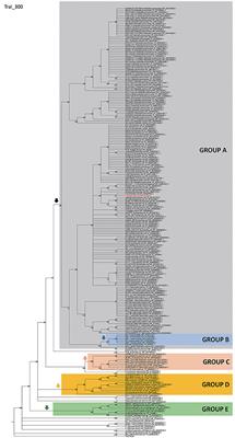 Comparative Genomics of the Conjugation Region of F-like Plasmids: Five Shades of F